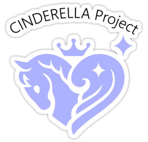 Idol Master Cinderella Princess