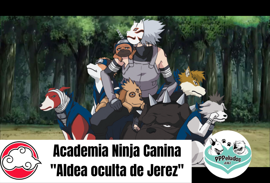 Academia-Ninja-Canina-Villa-oculta-de-Jerez-Banner