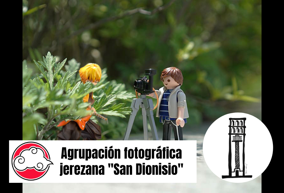 SMJ22-Fotografia-San-Dionisio-Banner